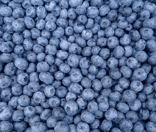Blueberry (IQF Frozen)