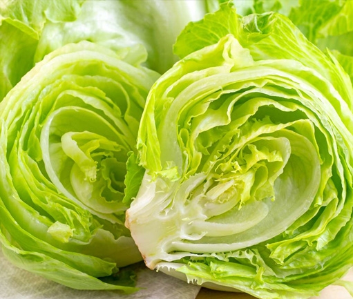 Lettuce (Fresh)