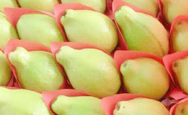 Guava (Fresh)