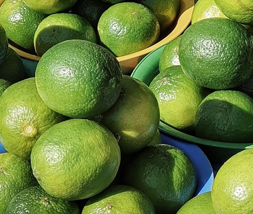 Lime (Fresh)