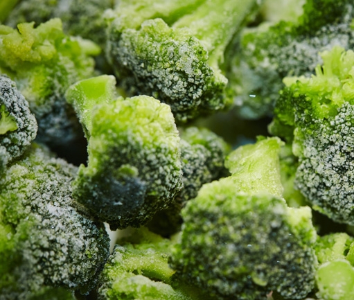 Broccoli (IQF Frozen)