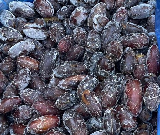 Dates (IQF Frozen)
