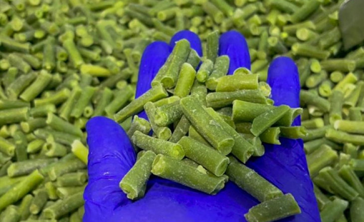 Green Beans (IQF Frozen)