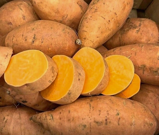 Sweet Potatoes (Fresh)